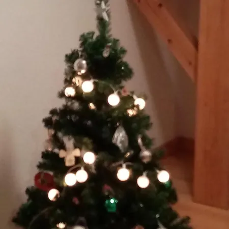 Apartment Du Champ Du Bois : Confort Au Coeur Des Vosges - Fr-1-589-820 Le Tholy