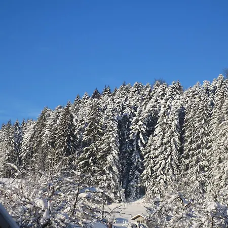 Du Champ Du Bois : Confort Au Coeur Des Vosges - Fr-1-589-820 アパート
