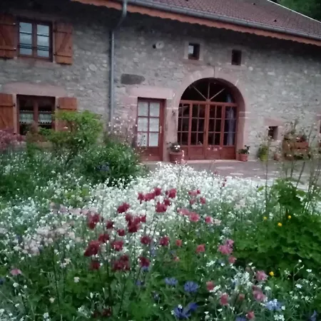 Apartment Du Champ Du Bois : Confort Au Coeur Des Vosges - Fr-1-589-820 *
