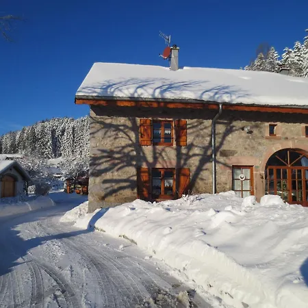 Du Champ Du Bois : Confort Au Coeur Des Vosges - Fr-1-589-820 *