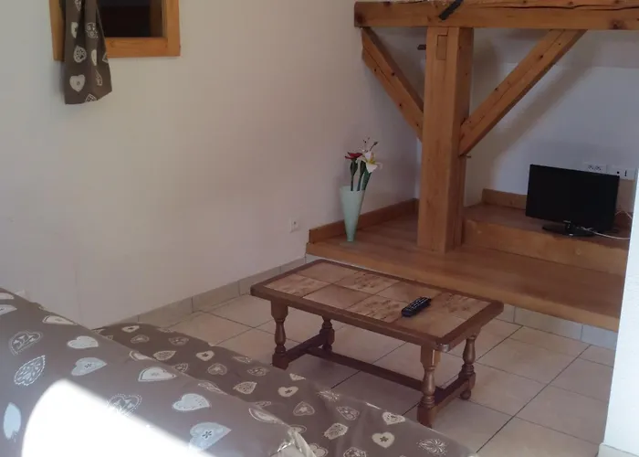 Apartament Du Champ Du Bois : Confort Au Coeur Des Vosges - Fr-1-589-820